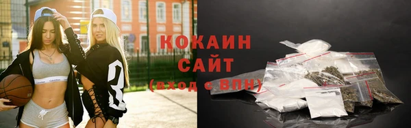 мдпв Новозыбков