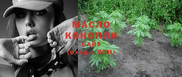 мдпв Новозыбков