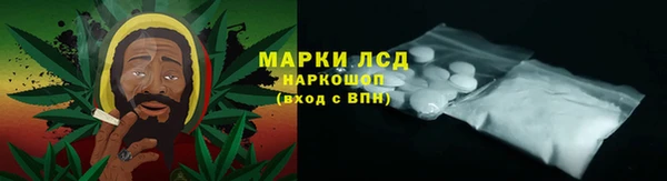 мдпв Новозыбков
