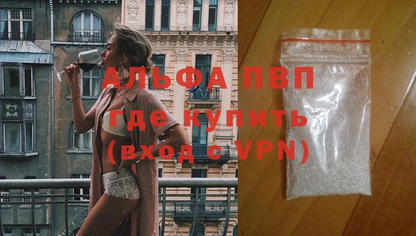 PSILOCYBIN Няндома