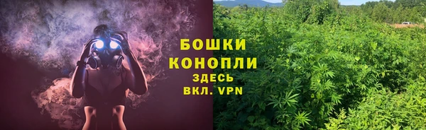 мдпв Новозыбков