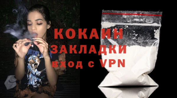мдпв Новозыбков