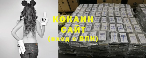 трава Бикин
